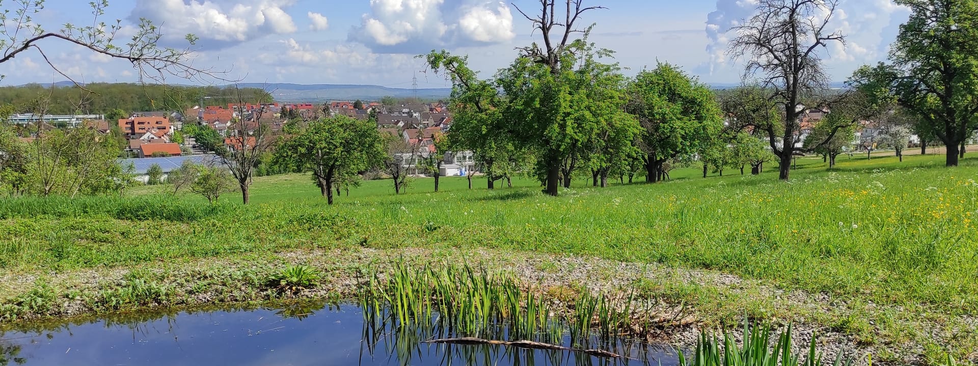 NATUR AUF SCHRITT UND TRITT