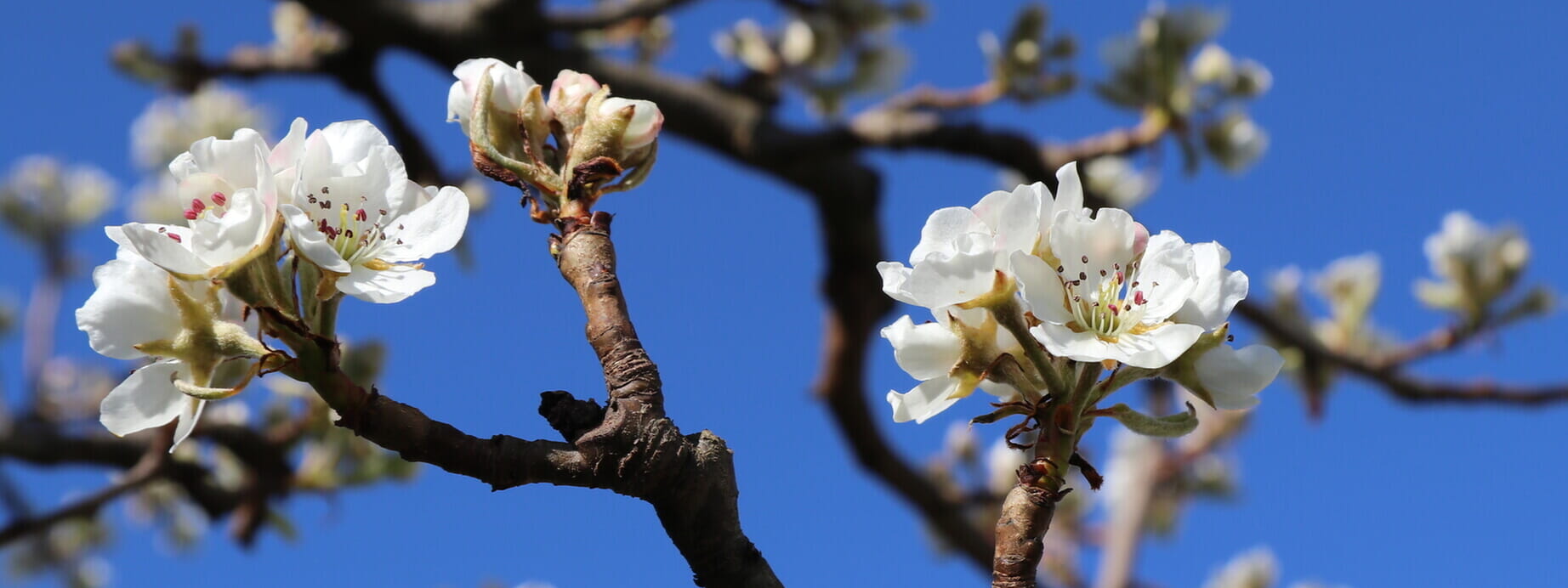 Der Frühling ist da!