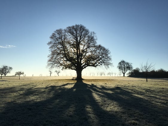 Licht und Schatten