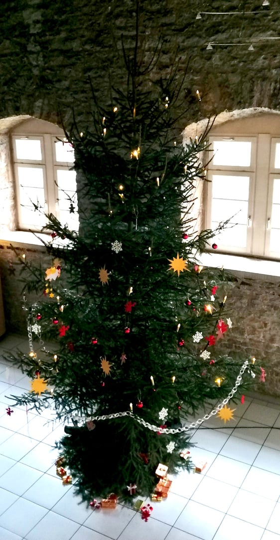 Weihnachtsbaum im Rathaus Eberdingen/Foto: Doreen Biedermann (ORSO)