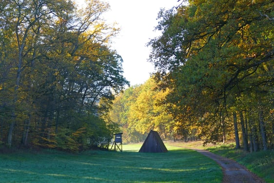 "Licht und Schatten im Däle"