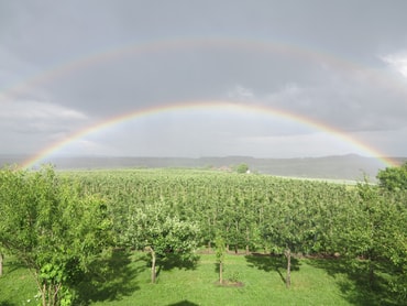 2 Regenbogen