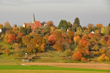 Foto: Erwin Gayer, Herbstglut