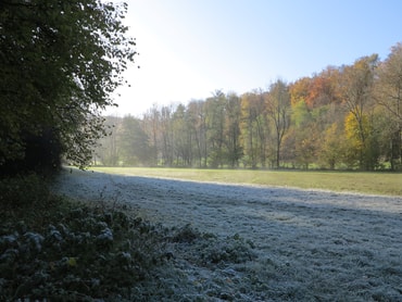 Raureif im Kreuzbachtal