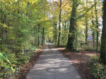 Weg im Sonnenberg