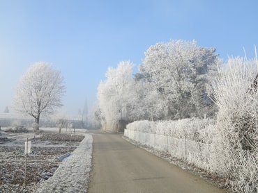 Der Kappelpfad in Nussdorf