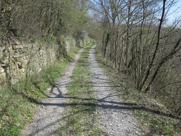 Mittelweg im Sonnenberg