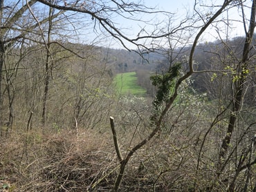 Ausblick ins Kreuzbachtal