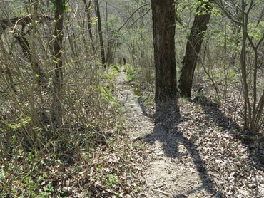 Alte Weinbergstufen ins Tal