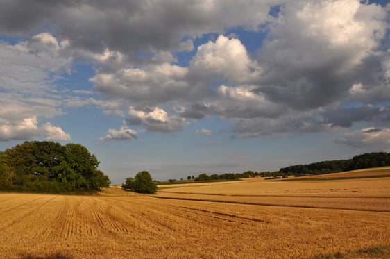 Erntehimmel