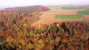 Blick vom Heutal Richtung Nussdorf